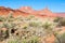 Castleton tower rock formation in Castle Valley in Utah