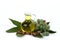 Castor oil bottle with castor fruits, seeds and leaf.