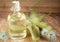 Castor oil bottle with castor fruits, seeds and leaf - Ricinus communis