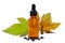 Castor oil plant, Ricinus communis.Castor oil bottle with castor fruits, seeds and leaf. on white