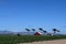 Castroville California farm workers red barn trees coastal hills blue sky