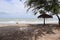 Casuarina Beach in Jaffna ,dog in the beach