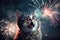 The cat is afraid and shocked by the sound of fireworks with sky background. Pet and animal concept. Digital art illustration.