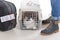 Cat in the airline cargo pet carrier