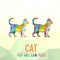 CAT ANIMAL PET POP ART LOW POLY LINE LOGO ICON SYMBOL