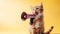 Cat announcing using megaphone. Notifying, warning, announcement