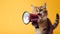 Cat announcing using megaphone. Notifying, warning, announcement