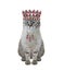 Cat ash wears crown 4