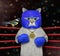 Cat ashen in blue boxing uniform 2