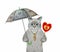 Cat ashen with candy under dollar umbrella