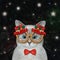Cat ashen in Christmas mask at night