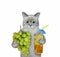 Cat ashen drinks grape juice