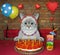 Cat ashen eating jelly cake for its birthday 2