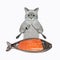 Cat ashen eats salmon from fish shaped plate