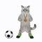 Cat ashen footballer near ball