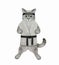 Cat ashen karate athlete exercising