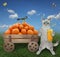 Cat ashen near cart with oranges in field