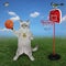 Cat ashen plays basketball in meadow