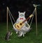 Cat ashen plays guitar on swing at night