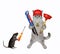 Cat ashen plumber holds wrench and plunger