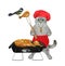 Cat ashen in red apron cooks grill chicken