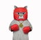 Cat ashen in red boxing uniform