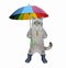 Cat ashen in rubber boots under colorful umbrella