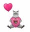 Cat ashen sits with heart shaped donut