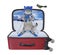 Cat ashen skiing inside suitcase