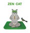 Cat ashen on square green mat doing yoga