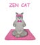 Cat ashen on square pink mat doing yoga