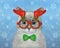 Cat ashen wears Christmas mask 4