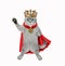 Cat ashen wears gold crown and red cloak