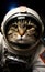 Cat astronaut in a spacesuit in outer space travels across the expanses of the universe