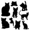 Cat Baby Kittens Silhouettes