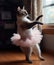 Cat Ballerina is dancing