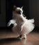 Cat Ballerina is dancing