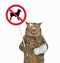 Cat with bandaged paw holds dog prohibition sign