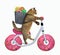 Cat with a basket rides the bicycle