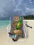 Cat on beach chair with beer