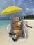 Cat on beach chair with cocktail