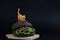 A cat on black hamburger on wooden desk isolated on black background