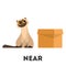 Cat and box. Learning preposition concept. Animal near