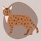 Cat breed bengal leopard cute pet brown fluffy leopard adorable cartoon animal and pretty fun play feline sitting mammal
