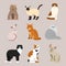 Cat breed cute pet portrait fluffy young adorable cartoon animal and pretty fun play feline sitting mammal domestic