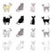 Cat breed Persian, York Chocolate, Sphinx, Cornish Rex. Different breeds of cat set collection icons in cartoon black