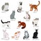 Cat breeds cartoon style vector set.