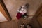 Cat brought roses as a gift to his mom