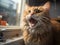 Cat brushing teeth in tiny bathroom mirror