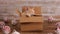 Cat in cardboard box playing, surrounded by christmas decorations